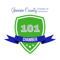 Chamber 101