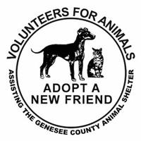 Volunteers For Animals
