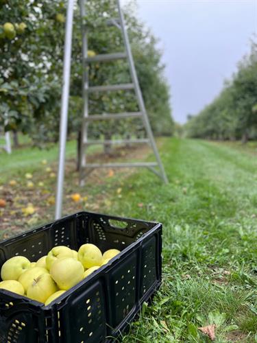 Gallery Image img-3905_orig.jpg