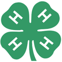 4-H Public Presentations | Volunteers Needed