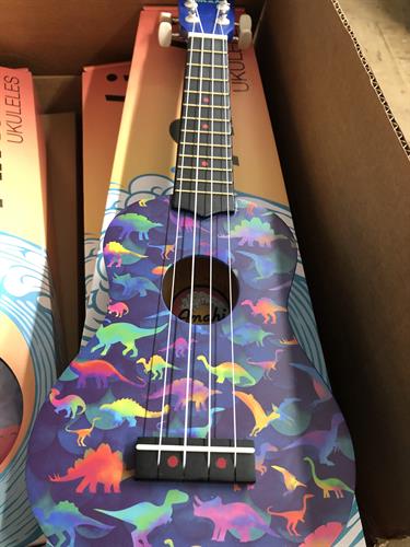 Get your fun Ukulele's here 