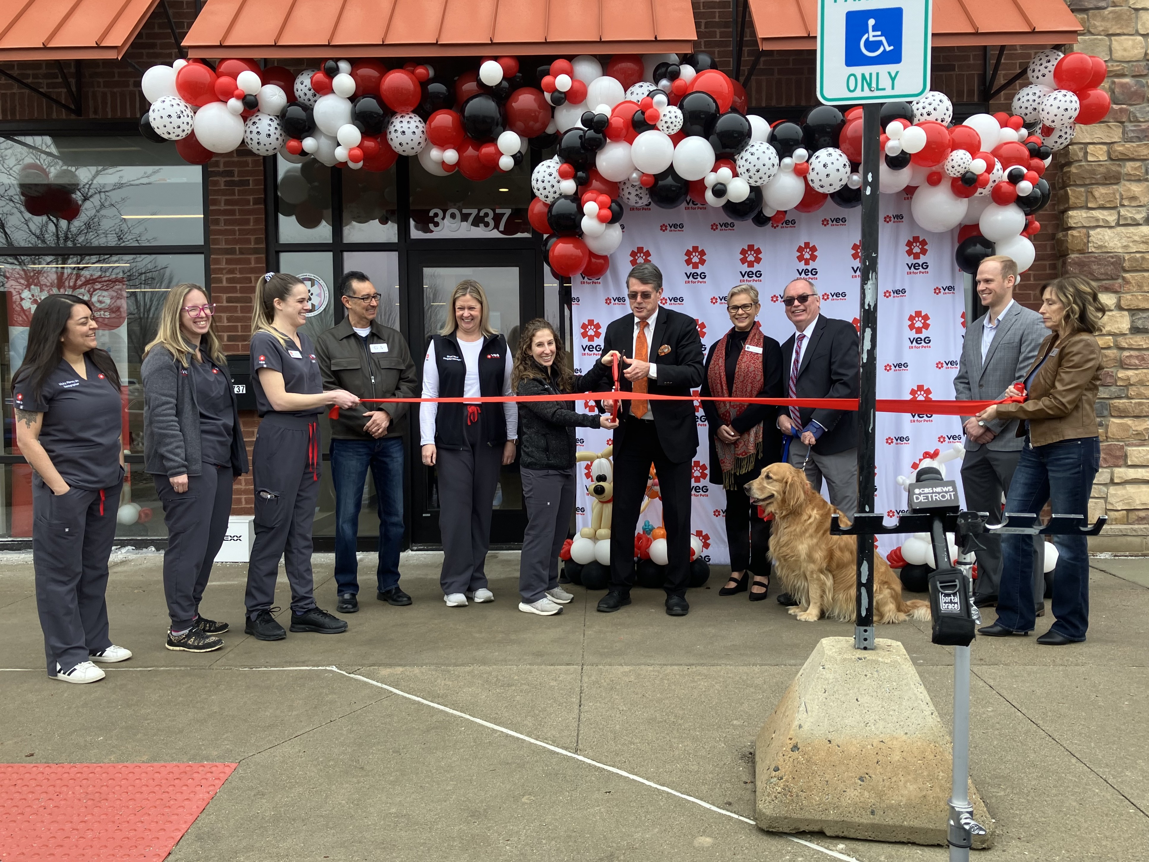 Image for March 2026 Update