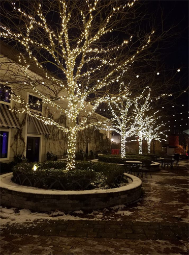 Gallery Image downtown_northville_tree_lights.png