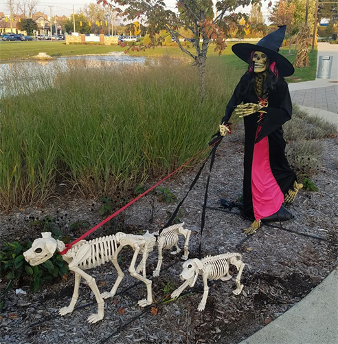 Gallery Image witch_skeleton_with_dogs.png
