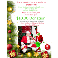 Snapshots with Santa/Grinchy Photo Bomb