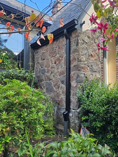 Gallery Image IMG_0575_(2).JPEG