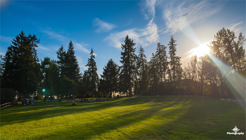 Just one section of our beautiful cemetery grounds with a view of evergreen trees