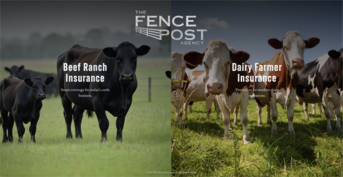 Vancouver, WA Bovine Insurance Company Website in Web Application