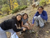 Cottonwood Institute