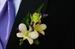 Wedding Corsage and Boutonniere Workshop.