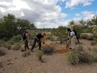 Building trails at Double V Scout Ranch west of Tucson Building trails at Double V Scout Ranch west of Tucson