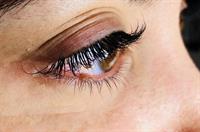 Eye Lashes Eye Lashes