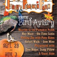 Isbell's Pumpkin Farm & Exotic Bird Aviary