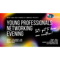 Lake Young Professionals Networking Evening
