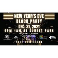 Mount Dora New Year's Eve Block Party & Fireworks
