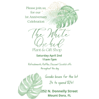 White Orchid Plant & Gift Shop Anniversary Celebration
