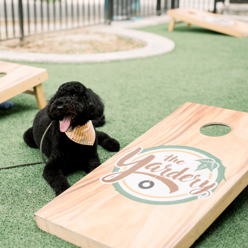 Pups are always part of the party ?? Dog-friendly patio + special dog menu available!
