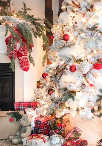Gallery Image 38CB5149-7689-4A85-B8F7-6DB1EAB8A840_4_5005_c(2).jpeg
