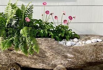 Nature Blooms Boutique