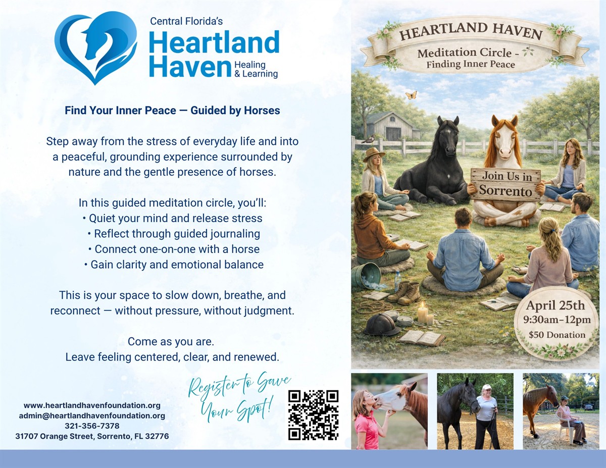 Horse Meditation Circle