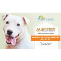 Lake County Animal Shelter to waive adoption fees for National Adoption Weekend Event