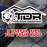 5 Useful Tips For Your Roof From Top Dog Roofing