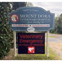 WQBQ Talk Track: Mount Dora Veterinary Hospital Expands Access to Local Pet Care