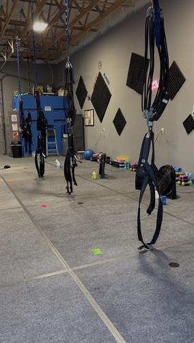 Getting ready to soar