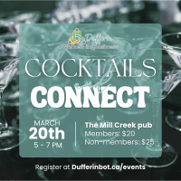 DWIB: Cocktails & Connect