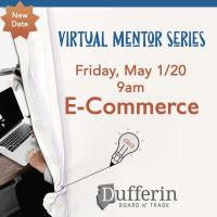 Virtual Mentor Series:  E-Commerce