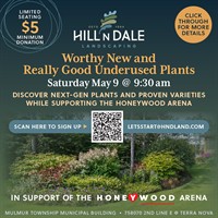 Worthy New & Really Good Underused Plants