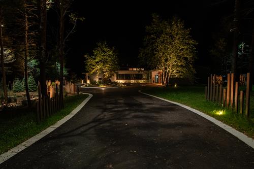 Professional Landscape Lighting