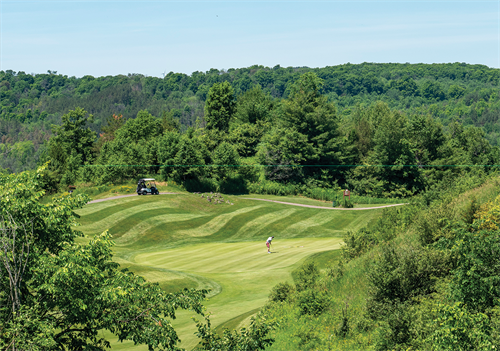 Gallery Image HVR_Golf5.png Gallery Image HVR_Golf5.png