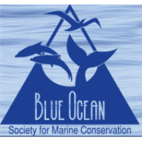 Seasonal Blue Ocean discovery Center educator