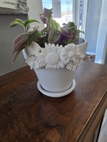 Gallery Image 20260131_112150.jpg