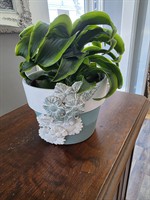 Gallery Image 20260131_112222.jpg