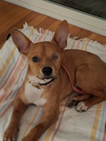 On Saturday's come say hi to Matilda