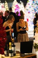 Festival of Trees Gala
