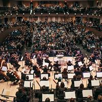 The orchestra gets ready for another concert. 