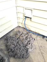 What is in your dryer vent? 