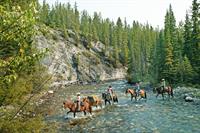Gallery Image Horseback_Riding_06_-_Banff_-_Discover_Banff_Tours.jpg