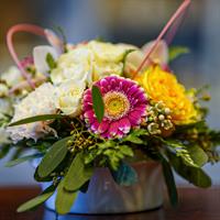 Valentine's Day Flowers 2024 - Arum Lily Flower Shop Edmonton