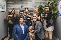 Office Team & Pets