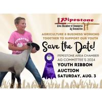 Youth Ribbon Auction