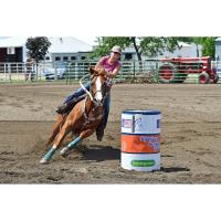 Prairie Riders Saddle Club Horse Fun Show