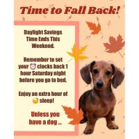 Daylight Saving Time Ends