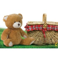 Teddy Bear Picnic