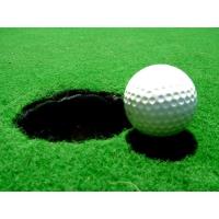 (MOVED TO AUG 12) 15th Annual Chamber Golf Classic