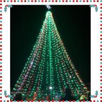 Christmas Tree Lighting