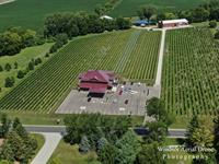 One of several wineries in Colchester Ontario